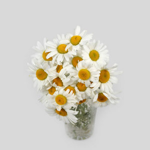 菊花束图片 菊花束素材 菊花束插画 摄图新视界