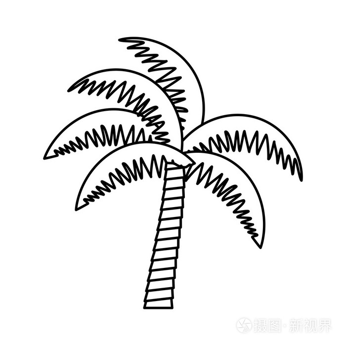 棕榈树热带孤立的图标插画-正版商用图片1qt9jo-摄图新视界