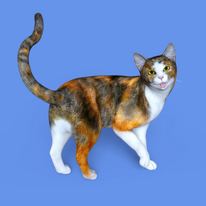 3d cg 渲染的一只猫照片