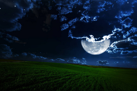 字段的夜晚图片