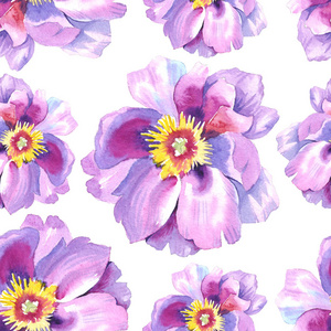 水彩牡丹花卉图案图片