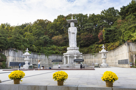 在首尔江南区韩国寺寺图片