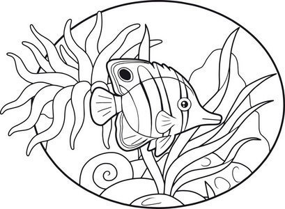 学画美丽蝴蝶鱼图片