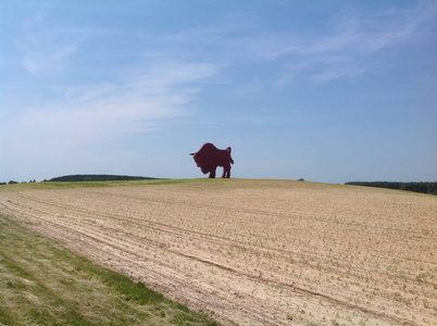 欧洲野牛雕塑图片
