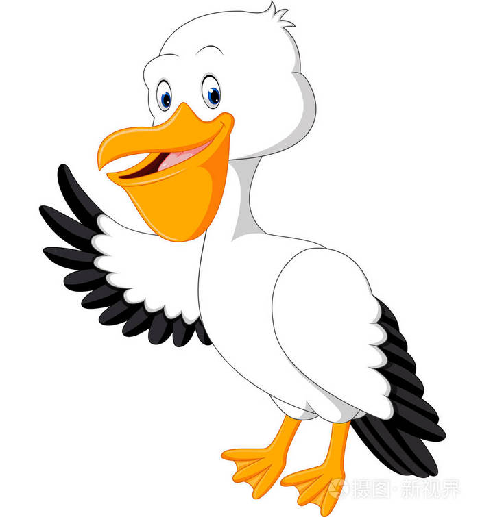 可爱的鹈鹕卡通的插图