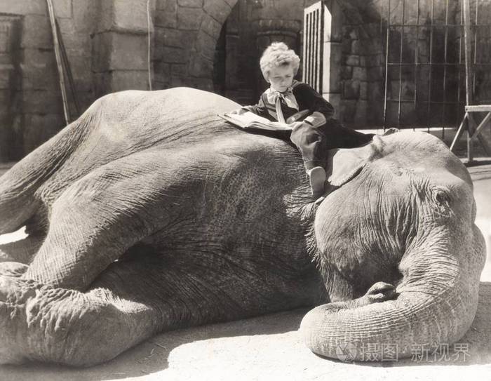 男孩在读书上的大象
