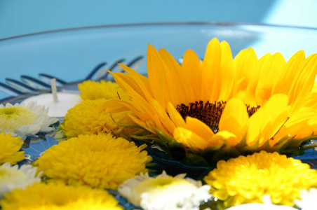 向日葵漂浮在一碗水与蜡烛图片