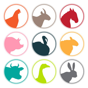 动物标识图片大全