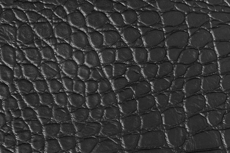 关闭绿色鳄鱼, 鳄鱼肚皮皮肤纹理用于墙纸背景.