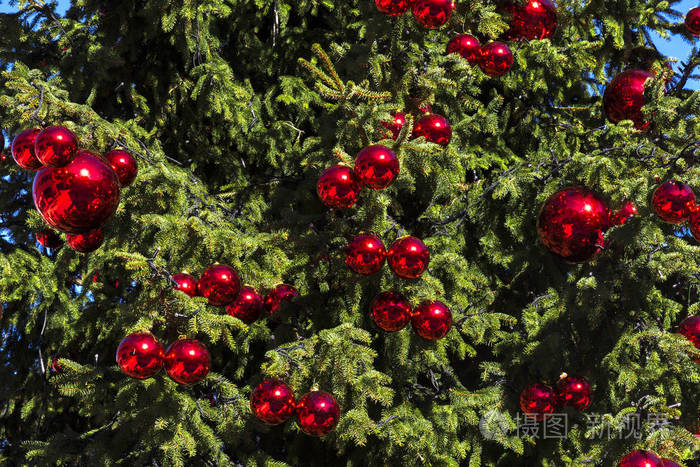 圣诞树与红球