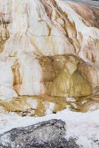 黄石公园的猛兽温泉图片