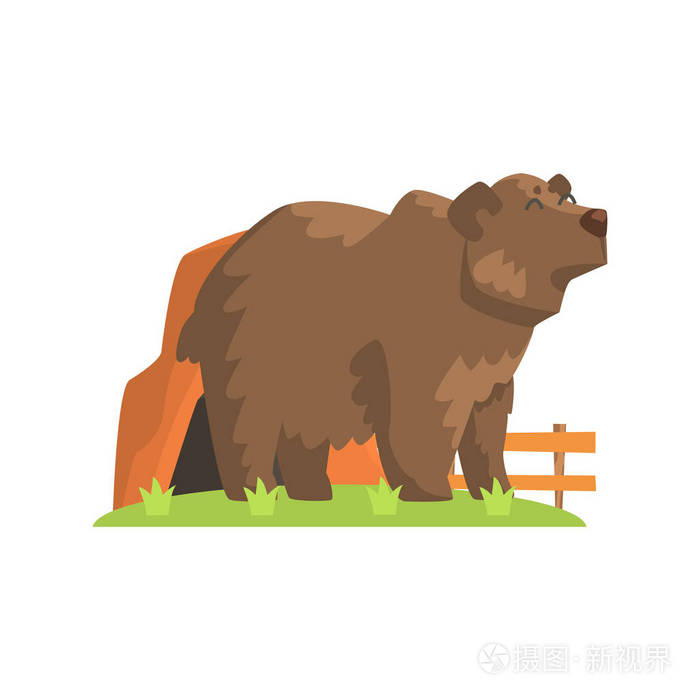 棕色的熊走出来站在绿色的草地上在露天动物园的熊窝
