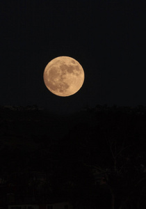 在拉古纳海滩的超级月亮图片