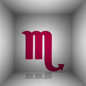 天蝎座标志图.波尔多图标和房间里的影子照片