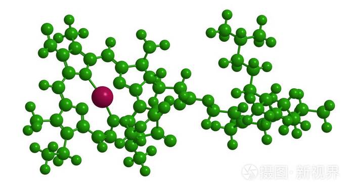 叶绿素a分子的结构