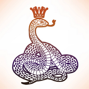 闪亮的蛇冠照片