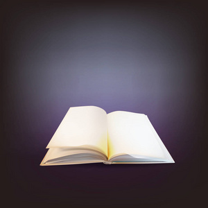 打开魔法书矢量照片