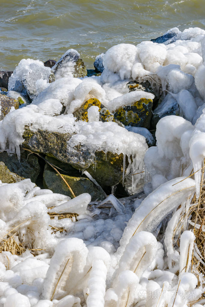 在荷兰的湖荷兰的外套的极端冰风暴