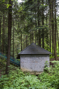 在目录林中小屋图片