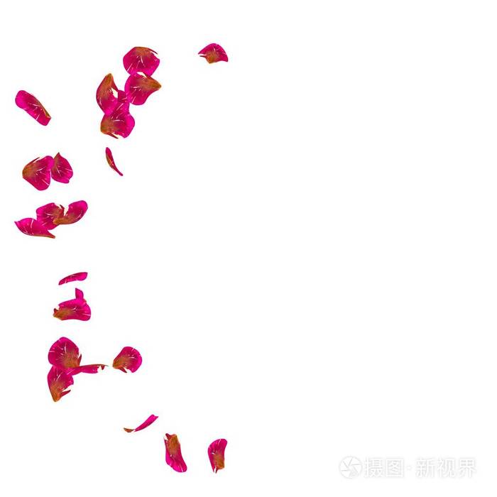 红色的玫瑰花瓣散落在地板上转半圈