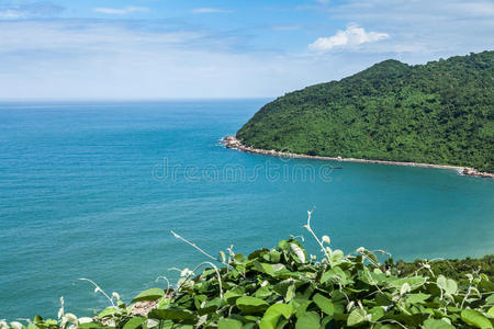 帆船 自然 海洋 小山 地平线 公司 海湾 天堂 风景 半岛