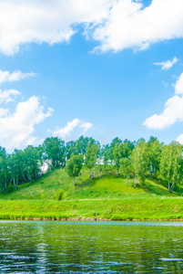 草坪 土地 森林 风景 车道 环境 美丽的 欧洲 弓箭步