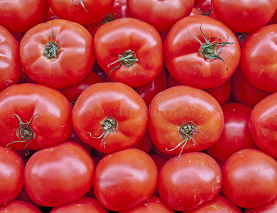 西红柿 颜色 饮食 自然 农业 文化 特写镜头 沙拉 水果