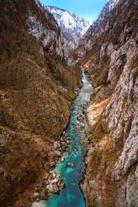 旅游业 石头 自然 风景 裂谷 森林 小溪 海岸 旅行 国家