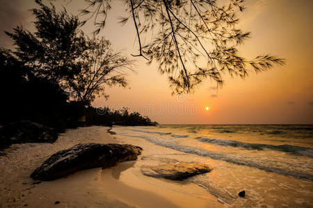 浪漫的 求助 海湾 亚洲 海岸 松木 海滩 天堂 海洋 夏天