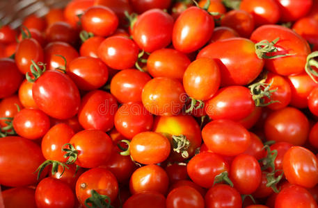 一组新鲜西红柿。