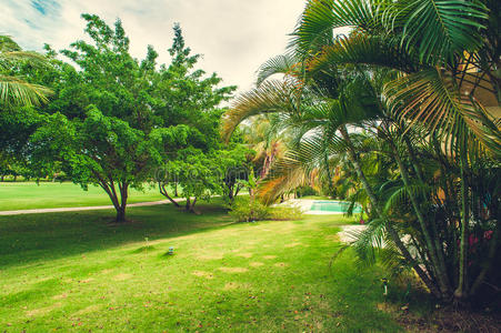 绿色的异国花园。 多米尼加共和国。 路径
