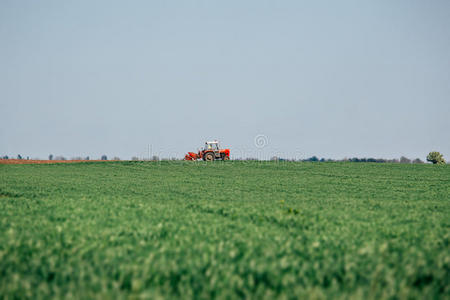 工作 机器 农事 草地 收割机 农民 文化 犁地 行业 玉米
