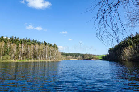 风景 木材 灌木 和平 森林 云杉 场景 波动 水坝 天空