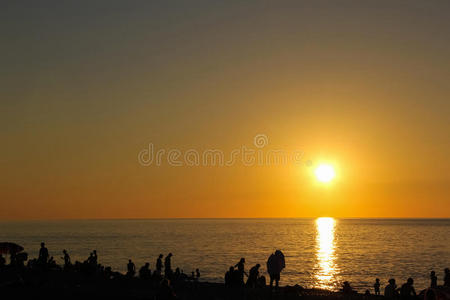 特兰克 地平线 阳光 天空 形象 太阳 夏天 反射 海洋