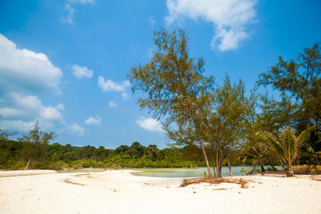 泰国 海洋 自然 风景 求助 夏天 美女 棕榈 天堂 岛屿