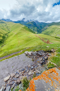 颜色 阿尔卑斯山 范围 汽车 美女 云景 森林 花的 自然