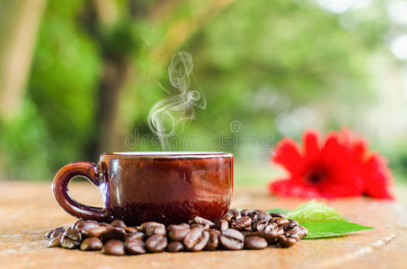 咖啡 杯子 颗粒 卡布奇诺 植物区系 非洲菊 外部 能量