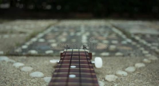 花园里的吉他