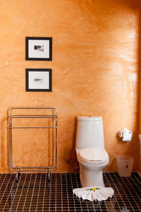 陶瓷 座位 洗澡 照片 厕所 洗手间 房间 卫生 房子 脸红