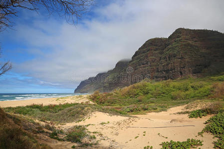 海岸 海滩 悬崖 海洋 海景 天空 分支 自然 特拉 放松