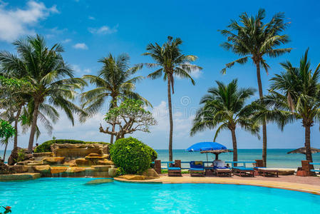南部 海洋 自然 天堂 酒店 天空 求助 棕榈 早晨 椰子