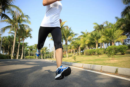 健身慢跑者的腿在热带公园跑步