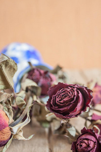 开花 美丽的 情人 激情 要素 花的 玫瑰 浪漫 简单的