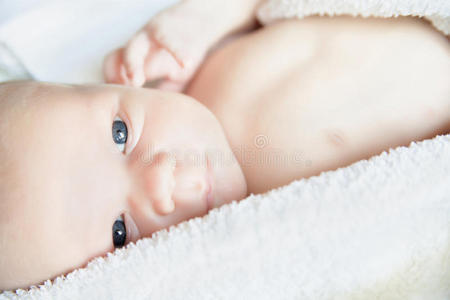 童年 白种人 男孩 婴儿 美极了 美女 毯子 小孩 眼睛