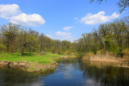 四月 公园 颜色 天空 公司 池塘 风景 生活 环境 美丽的