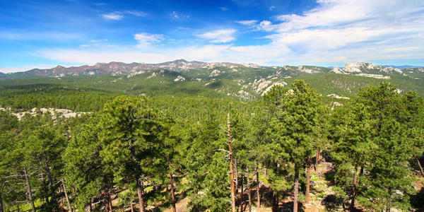 黑山国家森林全景