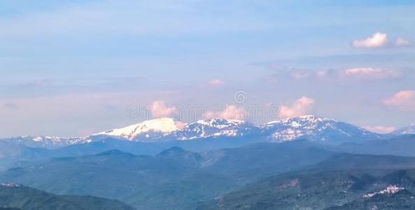 环境 黄昏 土地 风景 植物区系 公司 早晨 阿尔卑斯山