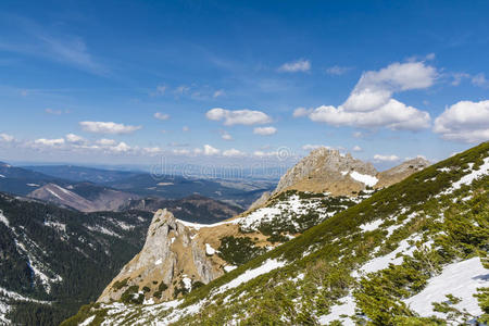 山间春色