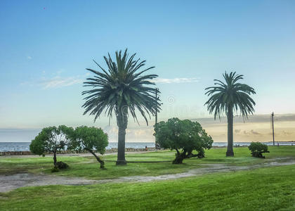 地平线 地点 风景 公园 海洋 木板路 编辑 特兰克 目的地