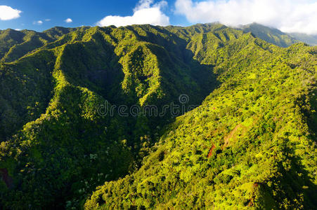 大洋洲 春天 飞行员 遥远的 夏威夷 公园 海洋 直升机